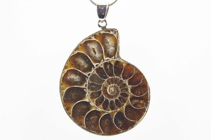 Fossil Ammonite Pendant - Million Years Old #306412